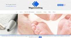 Desktop Screenshot of megaconsulting.net